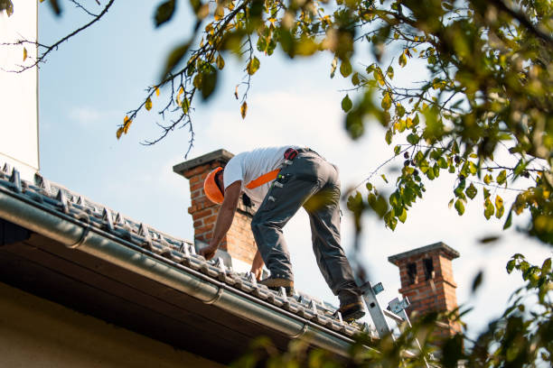 Best Residential Roofing Contractor  in Camilla, GA