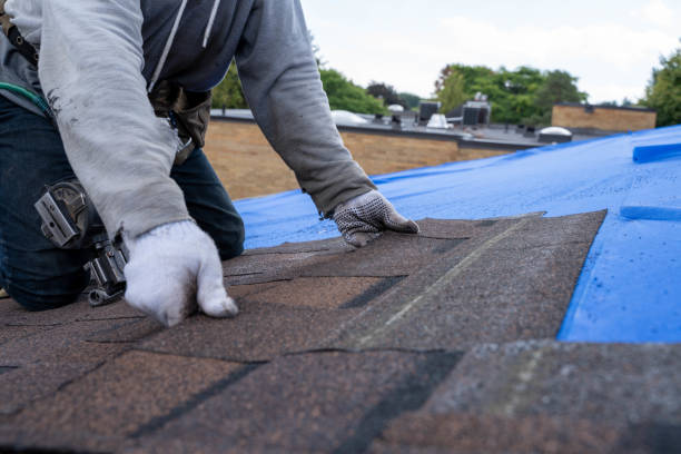 Best Storm Damage Roof Repair  in Camilla, GA
