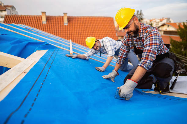 Quick and Trustworthy Emergency Roof Repair Services in Camilla, GA